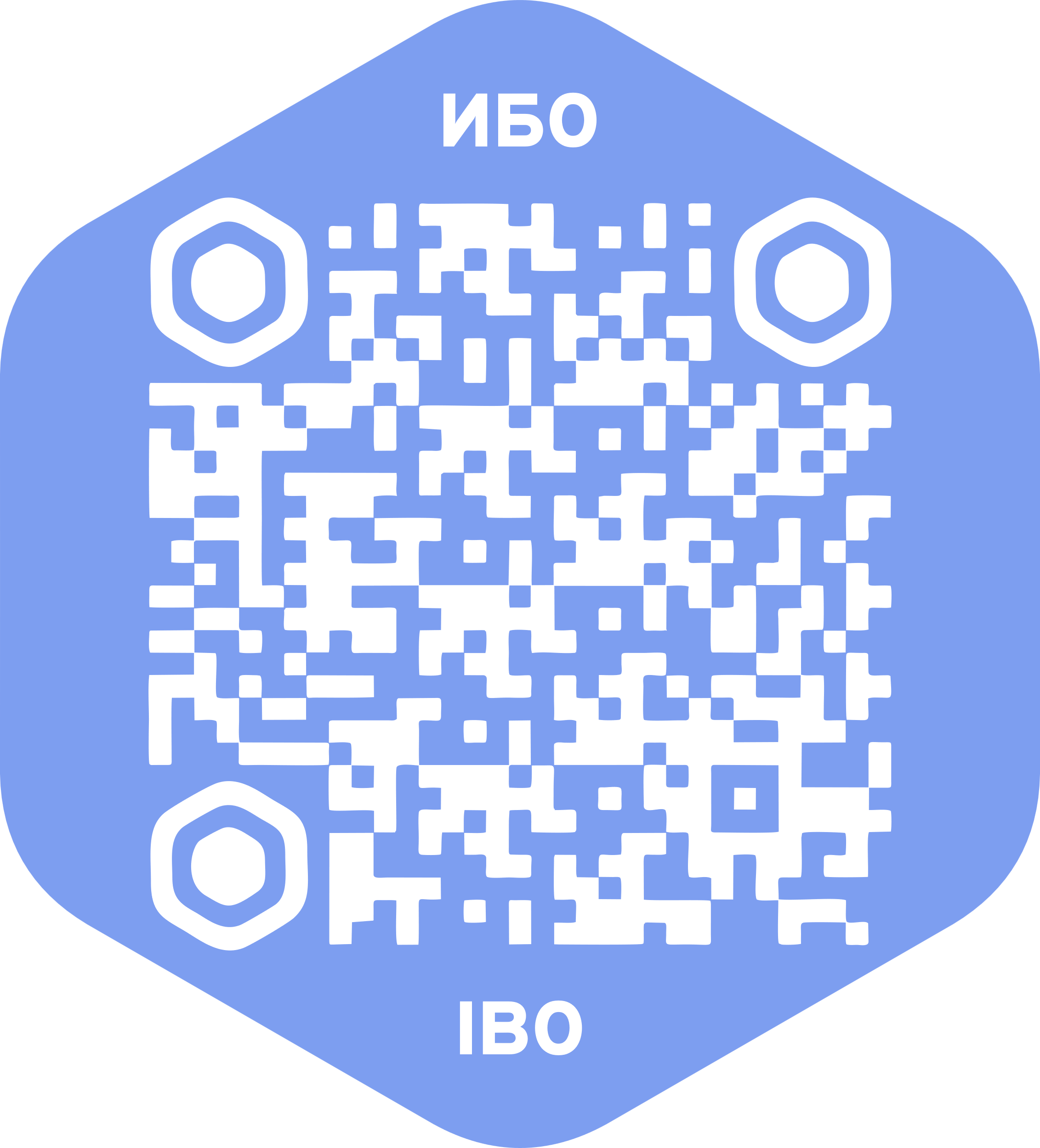 Метка ИБО из материалов проекта